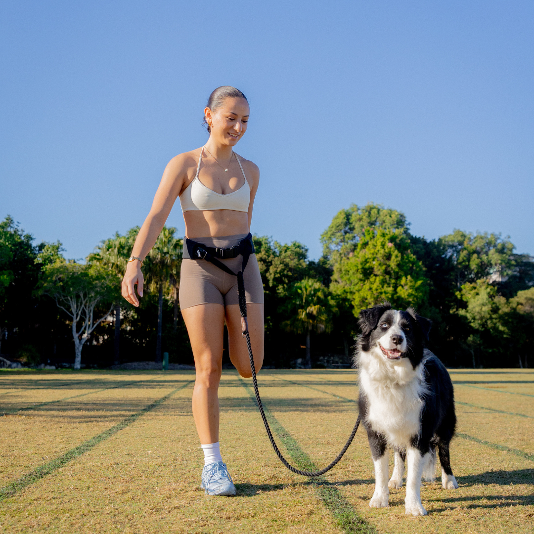 Attachd Hands-Free Dog Leash Belt
