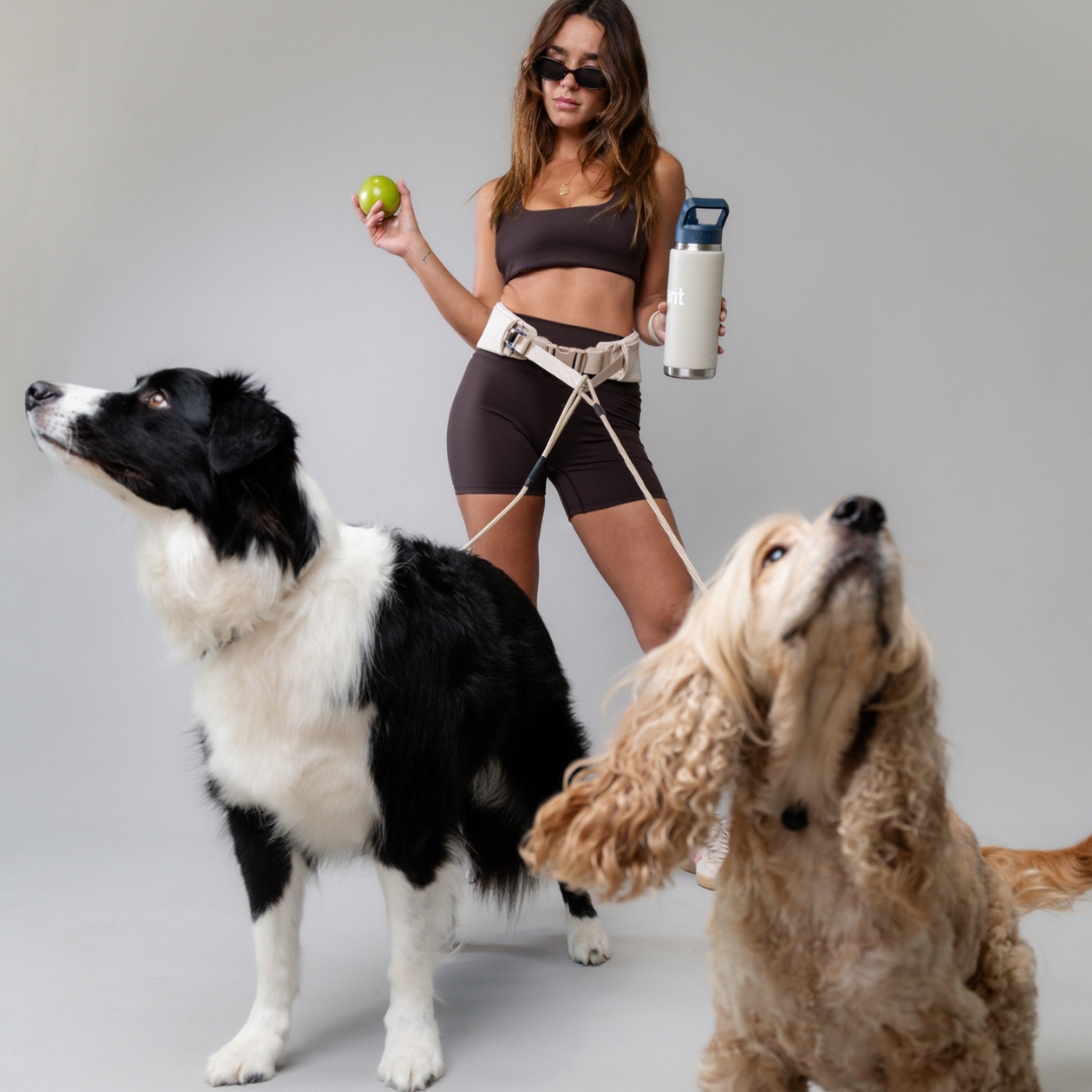 Attachd Hands-Free Dog Leash Belt