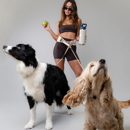 Attachd Hands-Free Dog Leash Belt