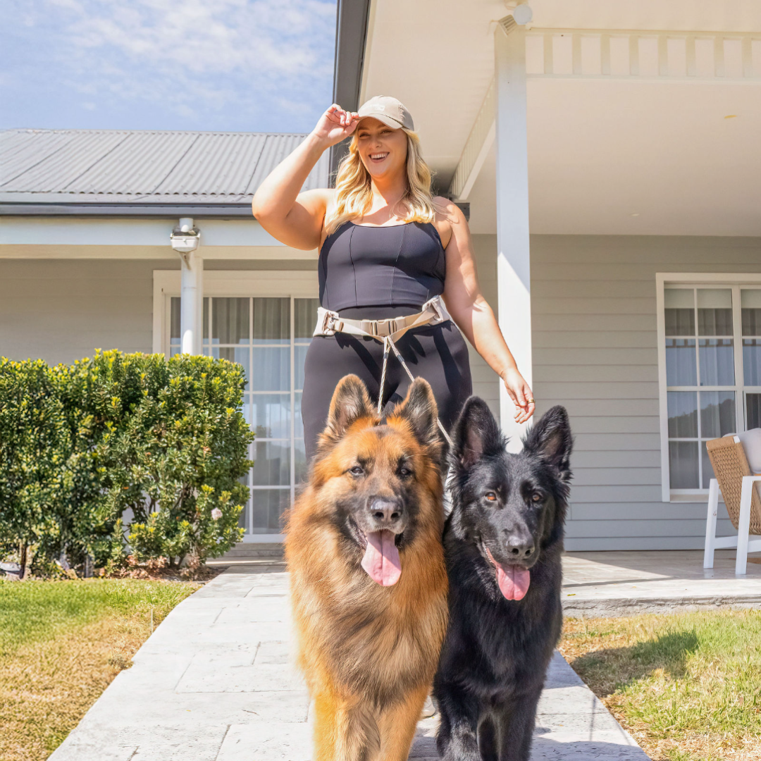 Attachd Hands-Free Dog Leash Belt
